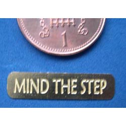 Mind the Step