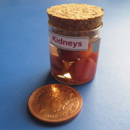 Kidneys in a Glass Jar
