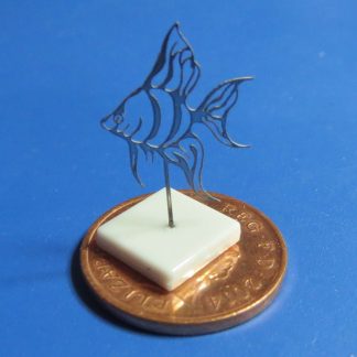 Angel Fish....Flat White Base