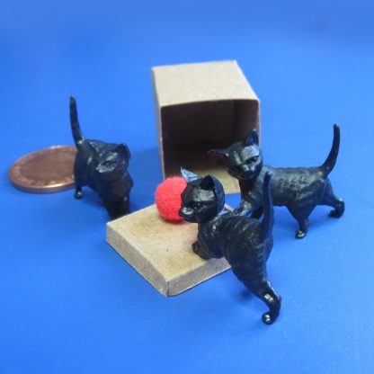 Box of Trouble...