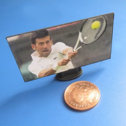 1/24th Scale TV....Djokovic