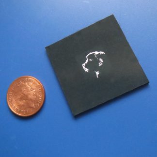 Newfoundland Dog (Mounted on Card)