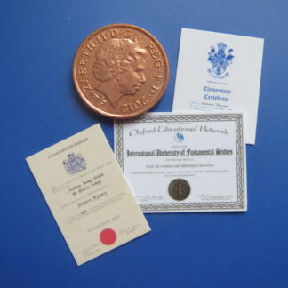 3 Diplomas  ( SALE )